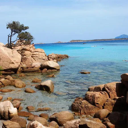 Salmarina *