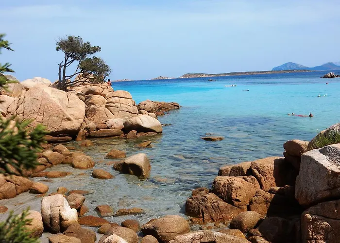 Salmarina *