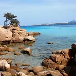 Salmarina *